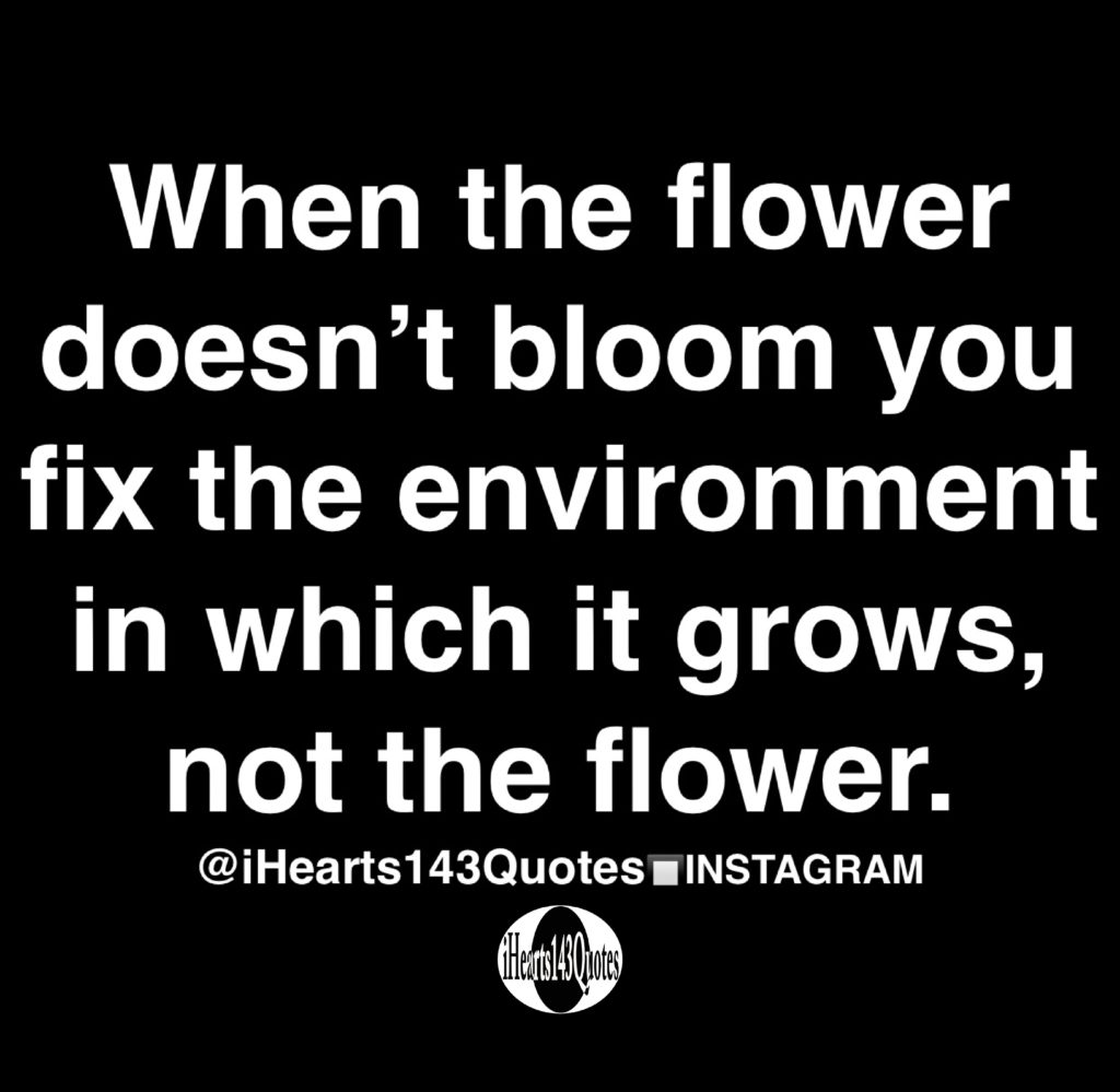 When the flower doesn’t bloom you fix the environment in which it grows
